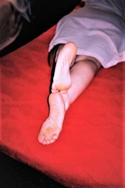 20705072.jpg