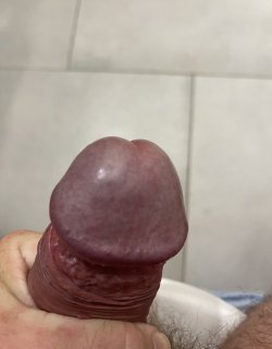cocknice.jpg