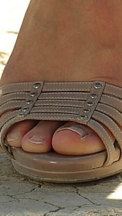 A217.jpg