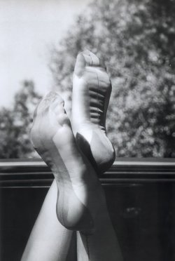 Elmer_005.jpg