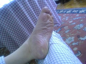 Fotos-0002_e1.jpg