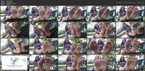 Nerd Soles.mp4.png