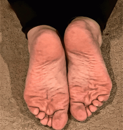f9abf233cdf04a99b4ae977f2a356ea3.gif