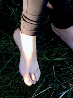June-Little Barefoot at Harvest.jpg