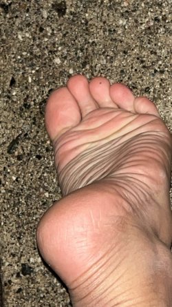 IMG_3529.jpeg