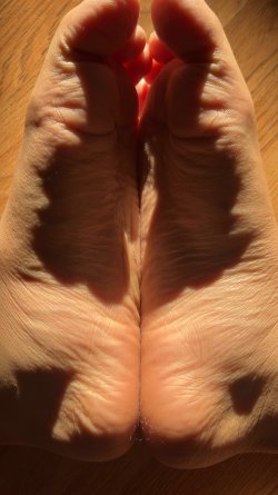 IMG_3729.jpeg
