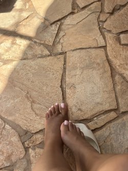 IMG_2179.jpeg