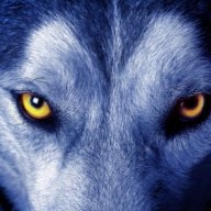 Wild Luna