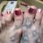 TransFootDiva